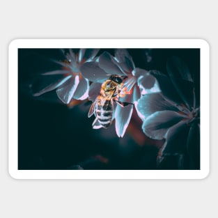 Bee on flowers Sticker